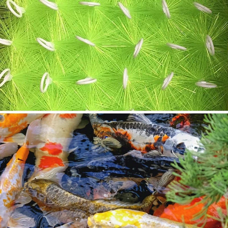 RINOO Store 10 Packs Fish Pond Filter Brushes Set for Koi Pond Fish Tank Aquarium Water Garden Pond Skimmer Filter Cleaning Brush 12 Inch by 4.7 Inch (Green) - Image 5